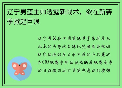 辽宁男篮主帅透露新战术，欲在新赛季掀起巨浪